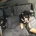 ピッザピッザピッザ - 