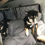 ピッザピッザピッザ - 