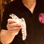 刺身BAR 河岸頭 - 