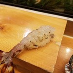 辰美寿し - 車海老