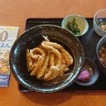 Udon Dokoro Kirimugiya - 日替わりミニ麺セット