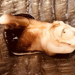 刺身BAR 河岸頭 - 