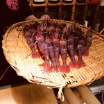 刺身BAR 河岸頭 - 