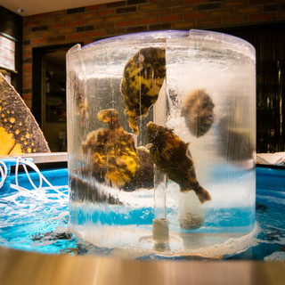 湘南ゆるり。_2