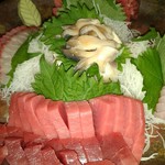 鮨居酒屋魚がし - 