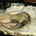 鮨居酒屋魚がし - 