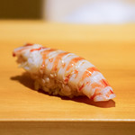 鮨 あらい - 車海老