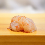 鮨 あらい - ぼたんえび