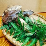 手打ちそば 縁庭 - 安曇野産の松茸です。手に入ったときは、特別価格にて松茸料理をご提供。