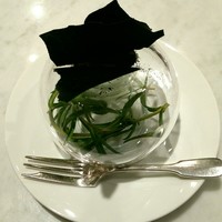 アッシュ - 