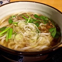 板前心 菊うら - なめこおろしうどん