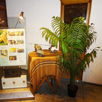 ベトナミーズ・シクロ - お洒落〜〜♬