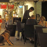 ベトナミーズ・シクロ - 夏のテラス〜♬