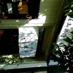 洋食 小春軒 - 西洋御料理　小春軒　白い暖簾