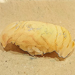 鮨 いしやま - 2018年8月24日