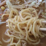 中華そば陽小屋 - 味噌ラーメン750円　麺アップ