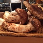 壽山 - 古平とさっぽろ