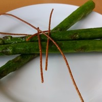 カフェトスカ - 