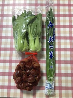 Minoru Seika - 野菜と栗