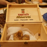 ウェスタ - 