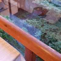 下鴨茶寮 本店 - 食前酒とお庭