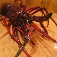 故宮 - 