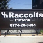 Ｒａｃｃｏｌｔａ - 