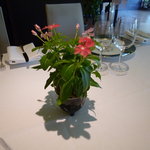 レストラン プランデルブ北鎌倉 - テーブルのお花