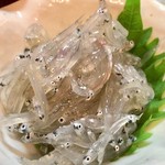 肴やのんき - 今朝水揚げされた生シラス。美味いことこの上なし。