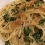 マチェレリーアディタケウチ - 