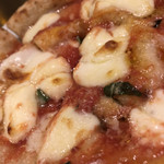 マチェレリーアディタケウチ - 