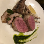 マチェレリーアディタケウチ - 