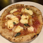 マチェレリーアディタケウチ - 