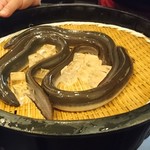 入谷鬼子母神門前のだや - 