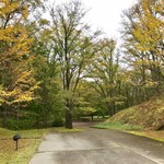 Porcupine - 美術館を背にしてお庭を臨む