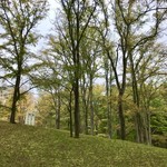 Porcupine - 起伏のあるお庭1