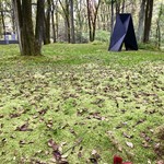 Porcupine - 真っ赤な落ち葉とオブジェ