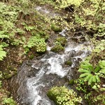 Porcupine - 敷地内を流れる川