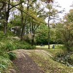 Porcupine - 尾花に秋を感じます