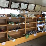 上志文ふれあいの郷 - お店
