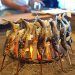 柳家 - 天然鮎の塩焼き