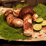 舞桜 - ずっしりとした、巨大松茸！すごいでしょ