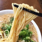 らーめん一途 - 硬めでリクエストしても柳腰な細麺
                                だがそれがいい