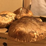 はらまさ - 松茸