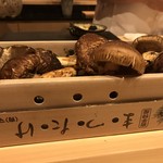 はらまさ - 松茸 岩手産