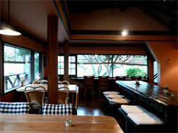 山菜 日和・お茶々_2