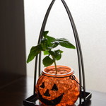 中国料理 竜苑 - 