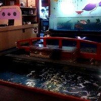 いけす鶴八 新栄店 - 