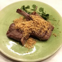 CINA New Modern Chinese - 