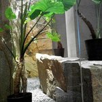 チェディルアン ハービスENT - 